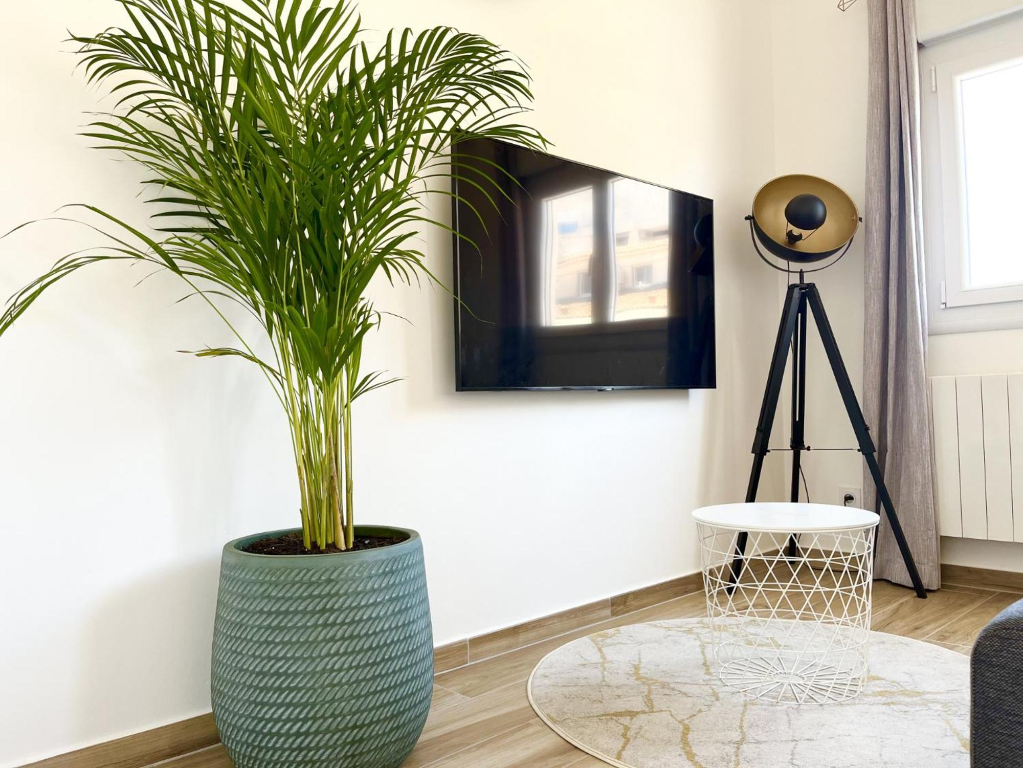 Duplex Centre Ville - 50M De La Plage - Clim - Garage - Netflix Le Grau-du-Roi Kamer foto